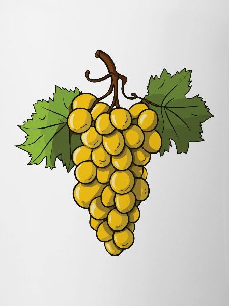 Grapes Fruit