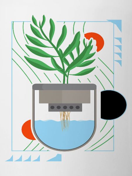 Hydroponics