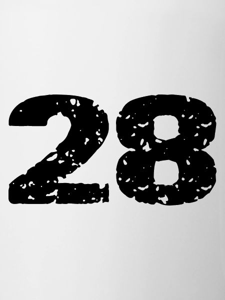 28 Number jersey
