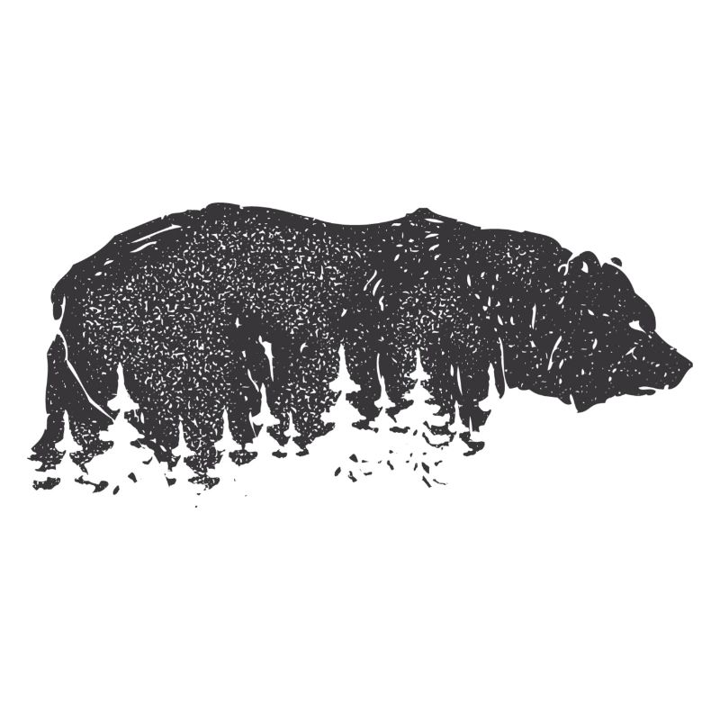 Ours dans la forêt