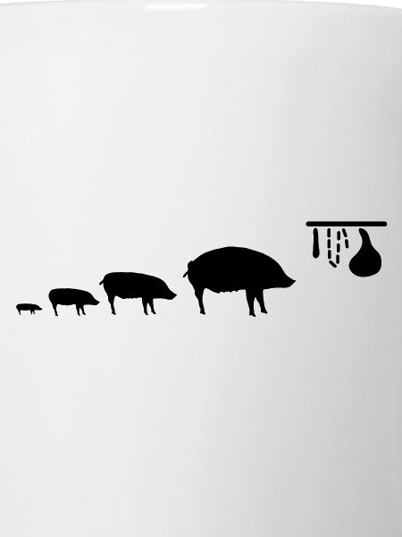 pig_evolution