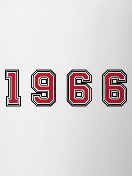 1966 year number