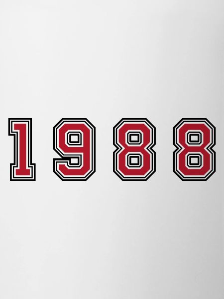 1988 year number