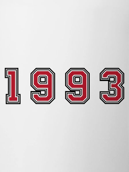 1993 year number