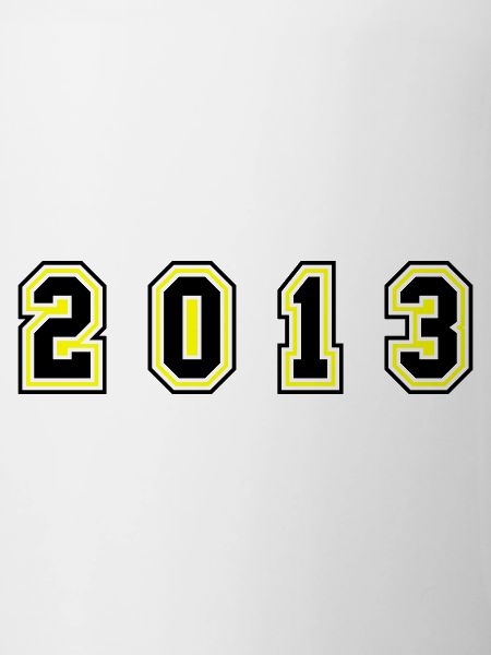 2013 Year Number