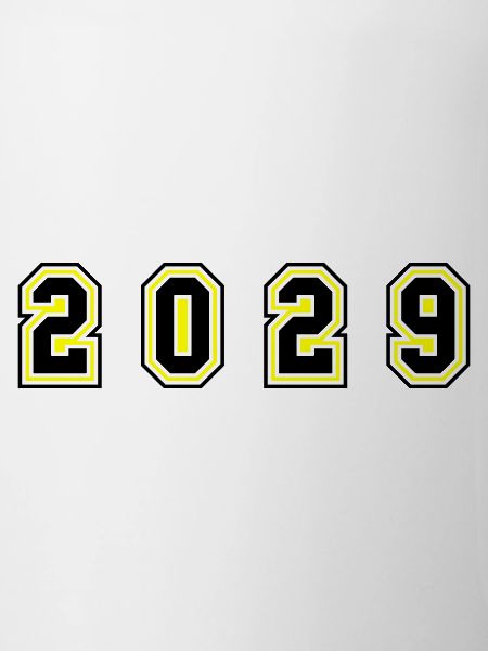 2029 Year Number