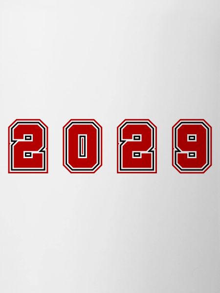 2029 Jahr Zahl