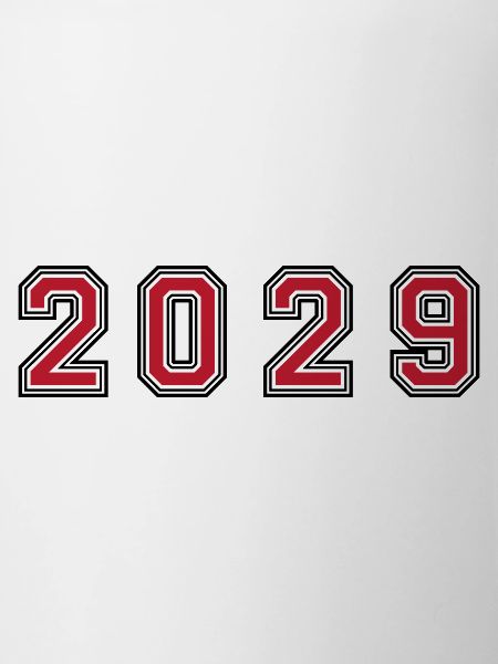2029 year number