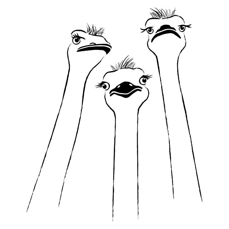 ostrich emu long neck funny bird