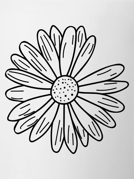 Daisy petals