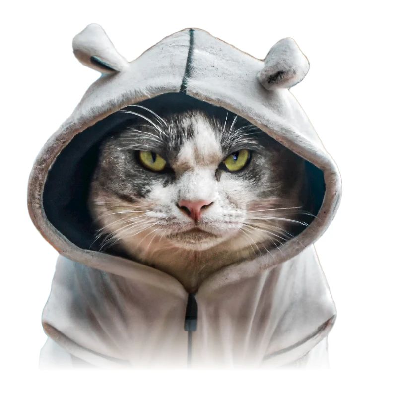 Chat sinistre avec sweat à capuche
