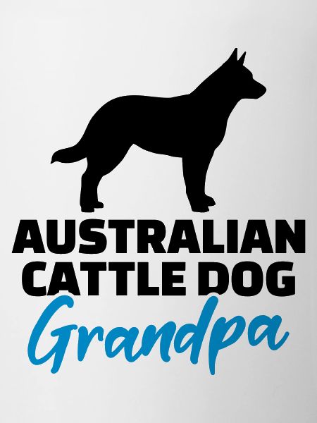 Australian cattle dog
