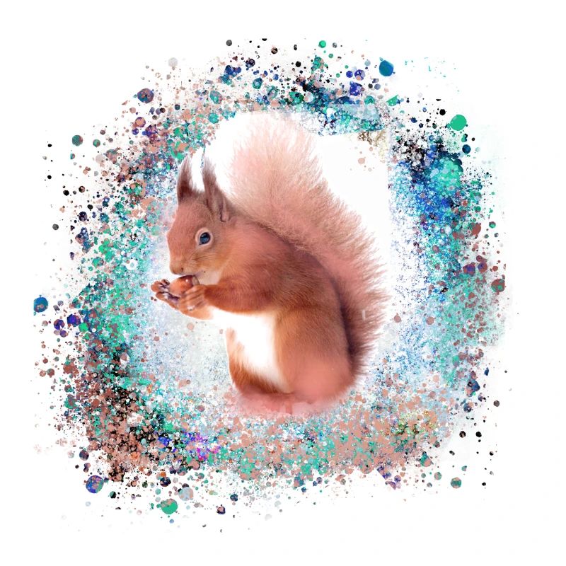 eichhörnchen, braun, malerei, graffiti, hörnchen