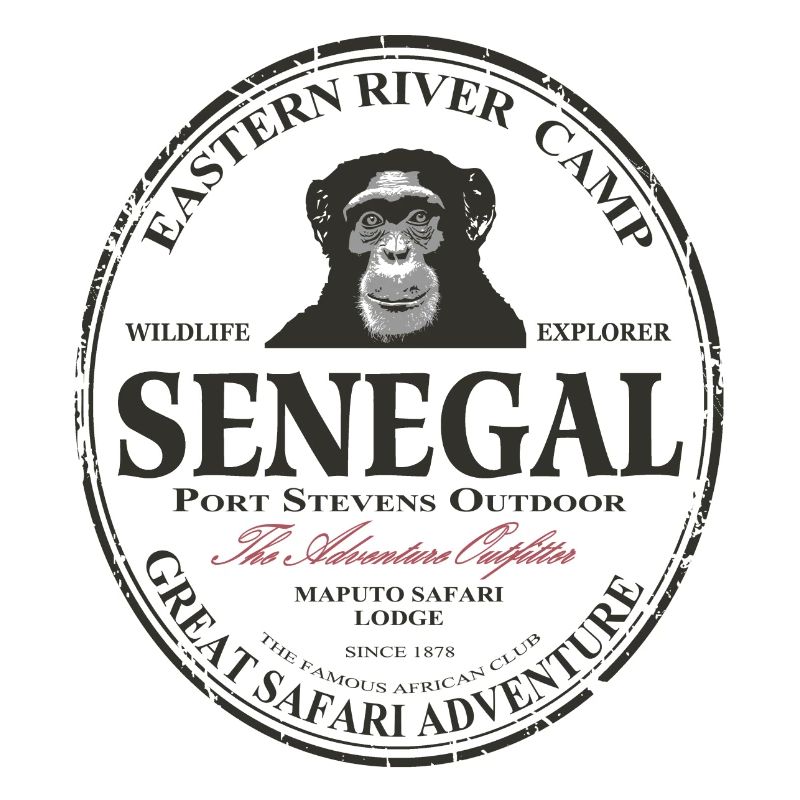 Senegal - Schimpanse