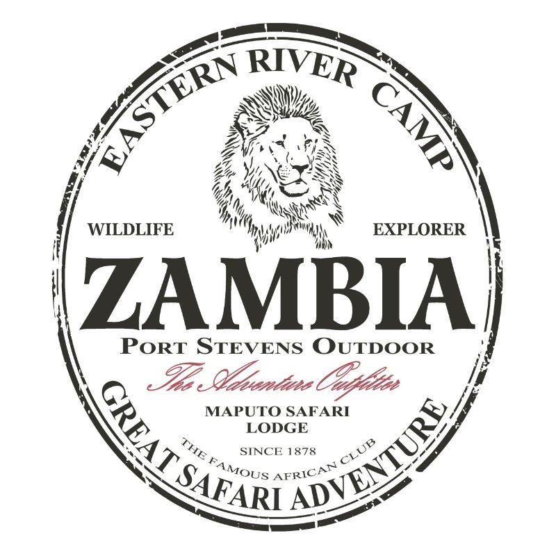 Sambia - Löwe