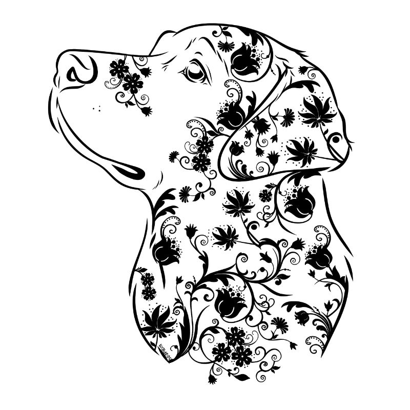 Fleurs du Labrador III