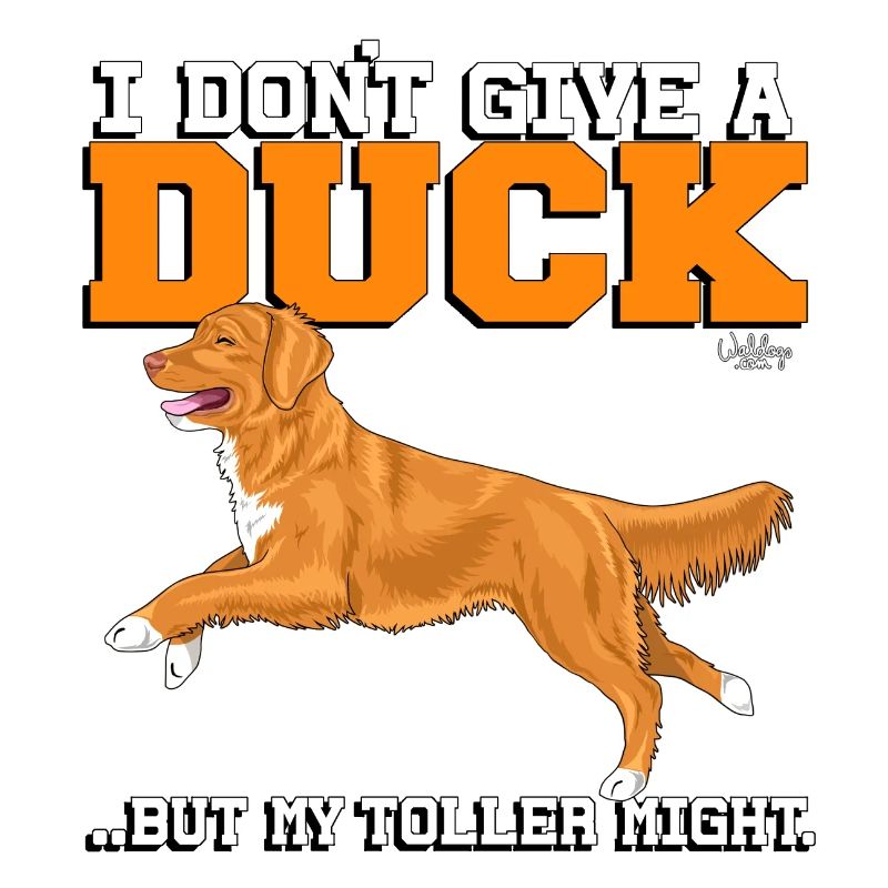 tollergiveaduck2