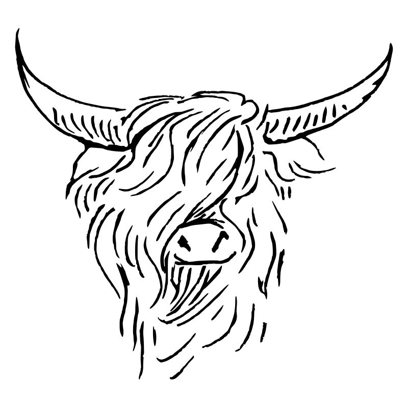 dessin au trait blanc noir highlander écossais