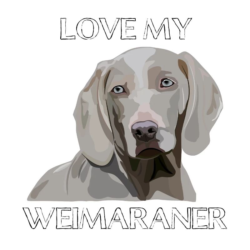 J’aime mon chien Weimaraner