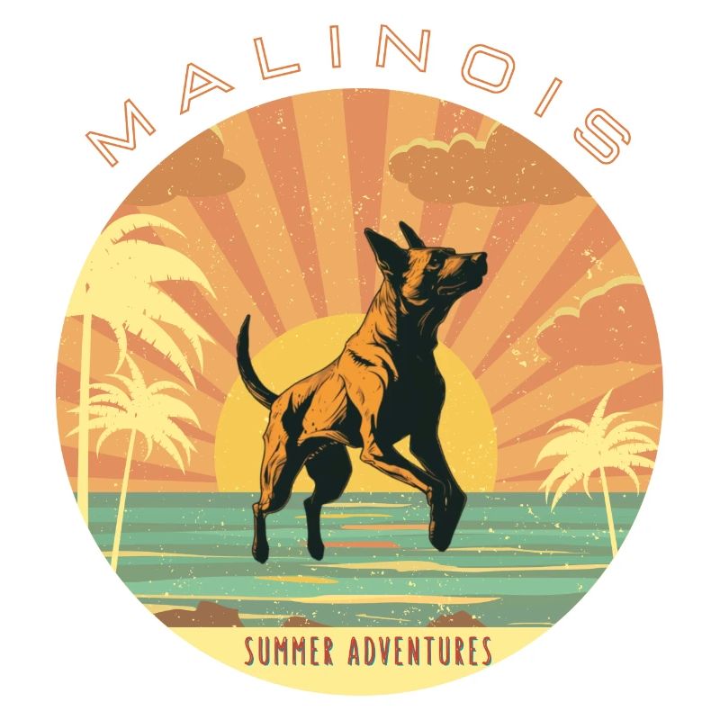 Belgian Shepherd - Summer