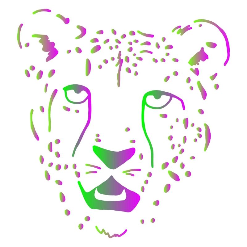Guépard grand chat Afrique