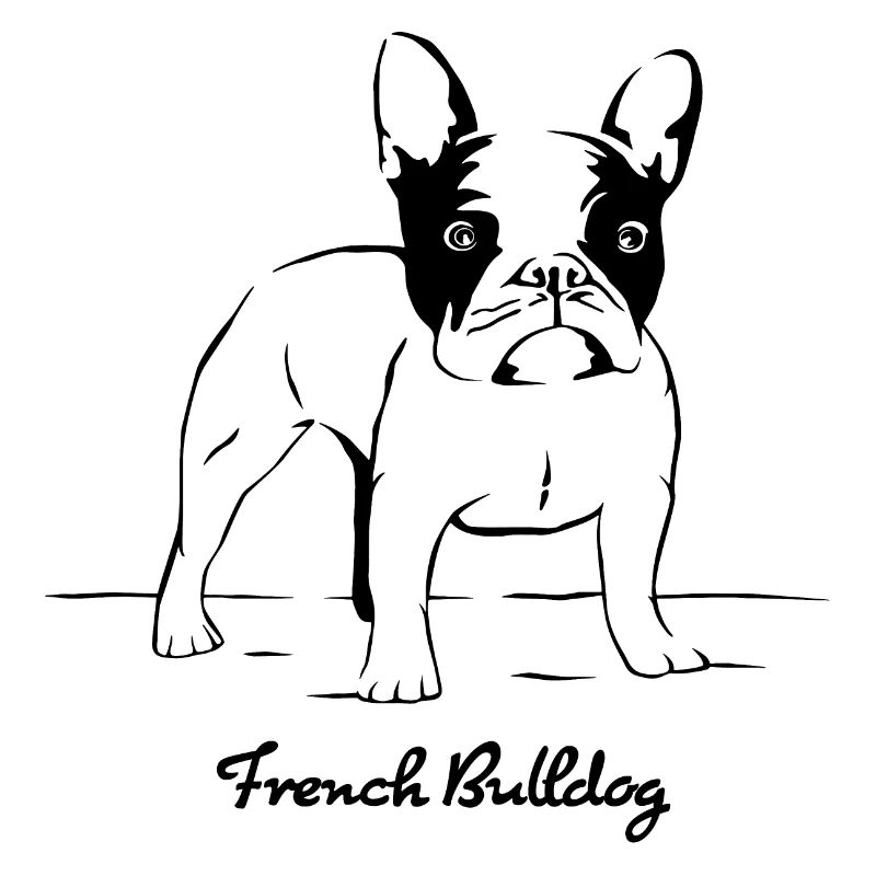 Bouledogue français bouledogue français