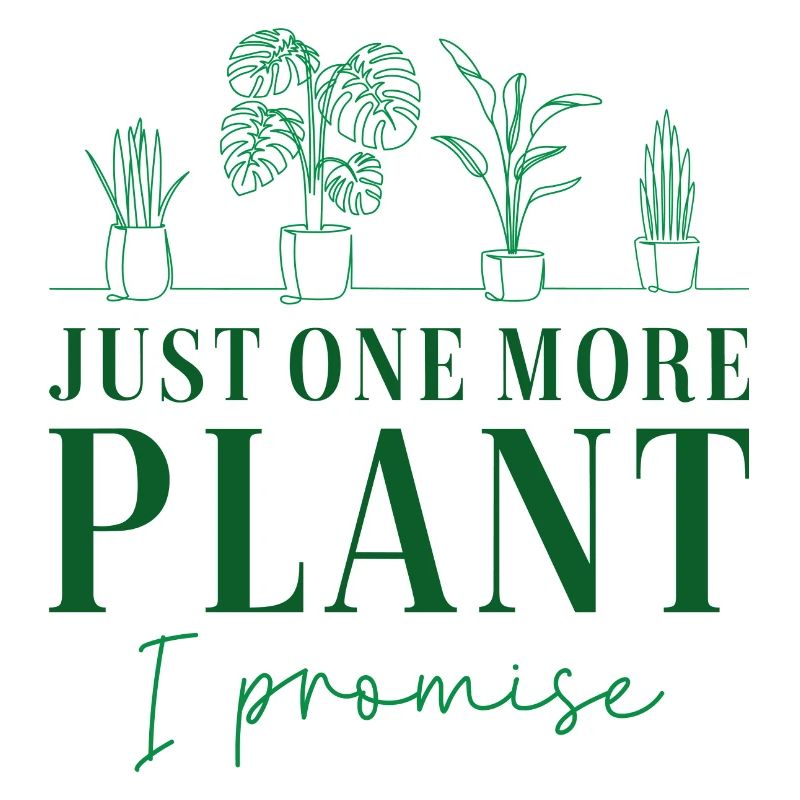 Encore une plante