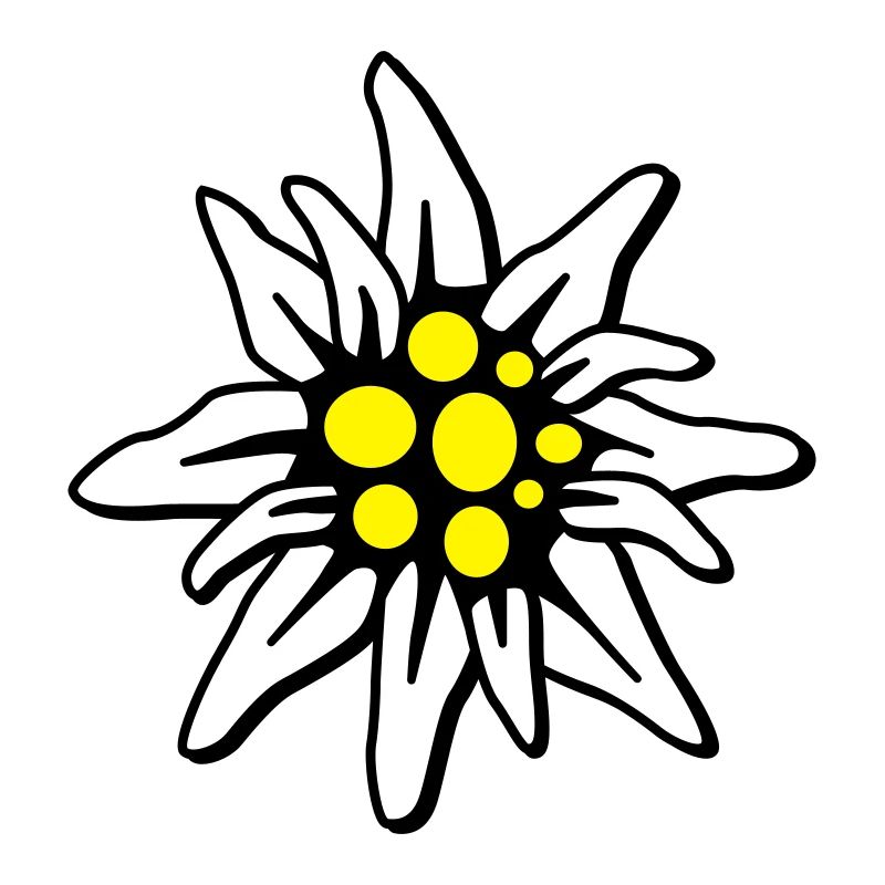 Edelweiss