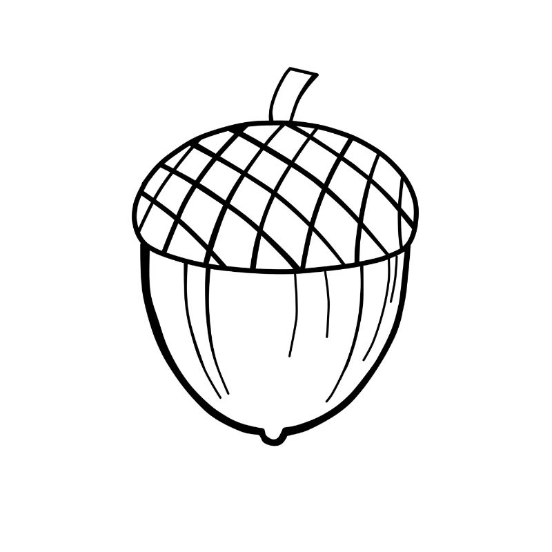 Schwarze Eichel (Hüllen, Taschen, Tassen, etc.)
