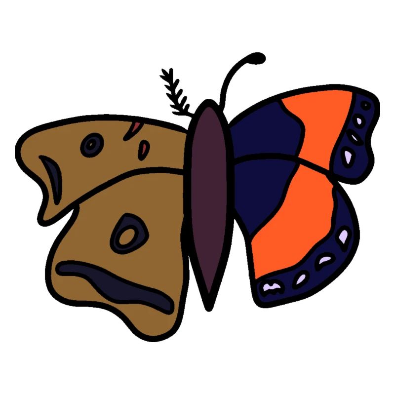 butterfly