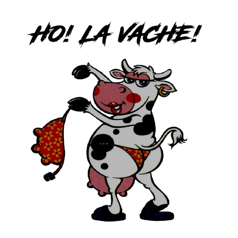 Phrase drôle | message drôle | texte drôle