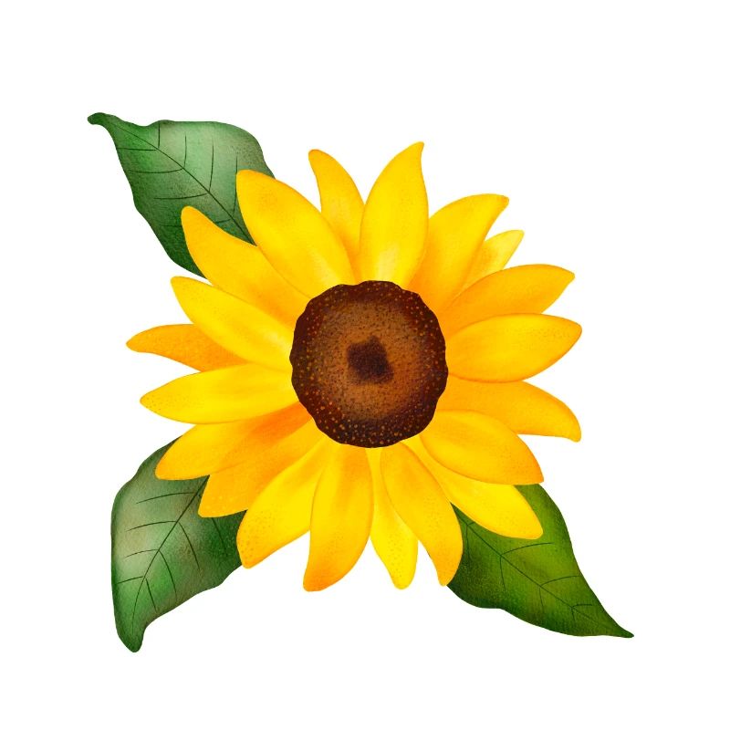 Joyeuse aquarelle de tournesol peinte à la main
