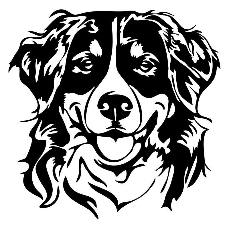 Portrait de chien de BERNER SENNENHUND Wilsign