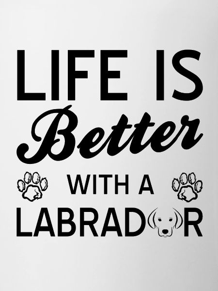 Labrador