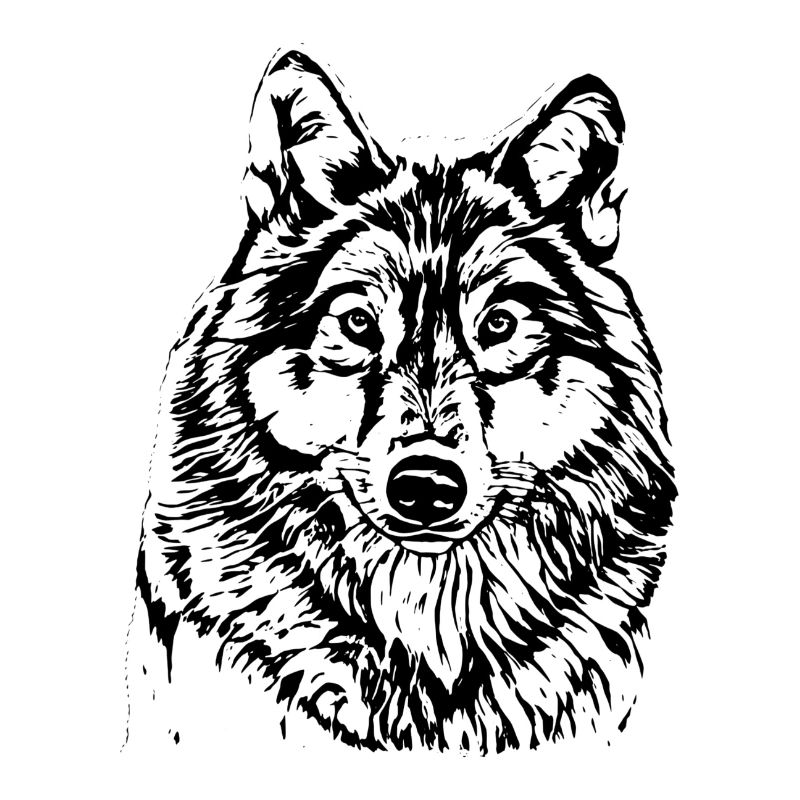 wolf