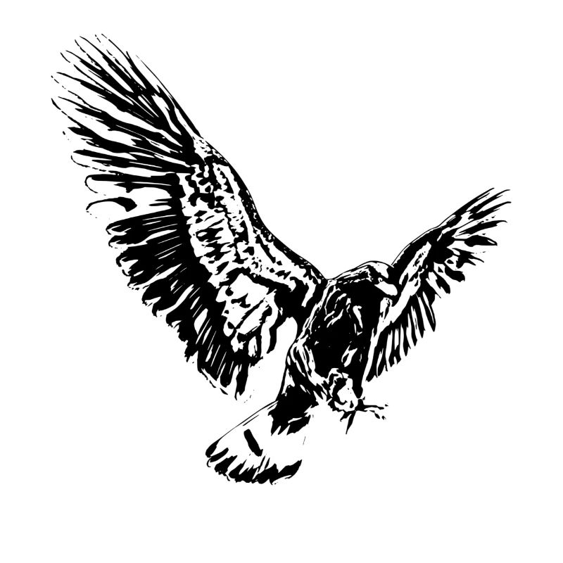 Adler