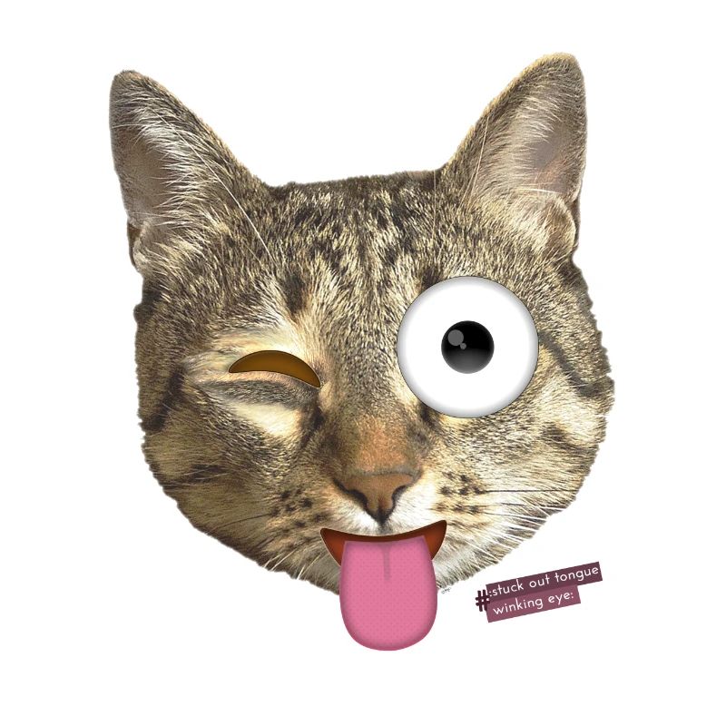 Langue de chat