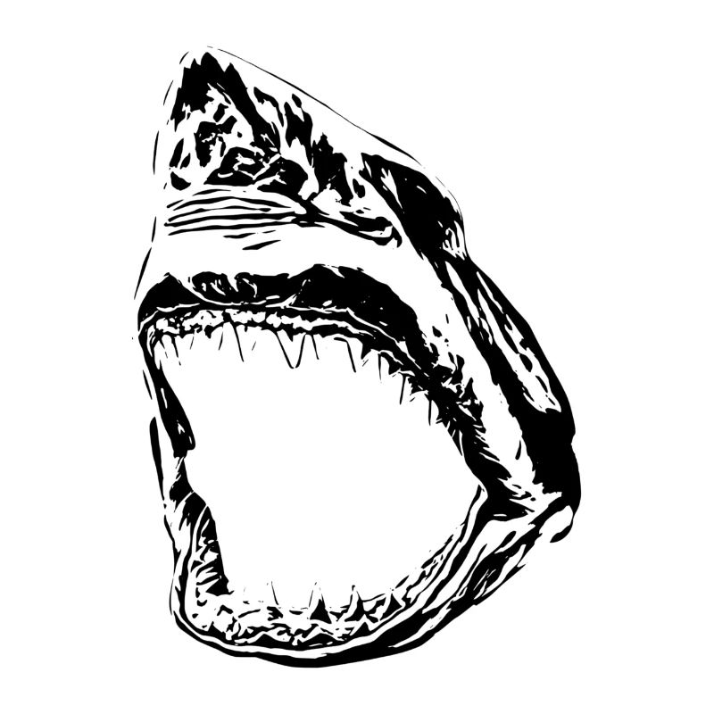 Grand requin blanc