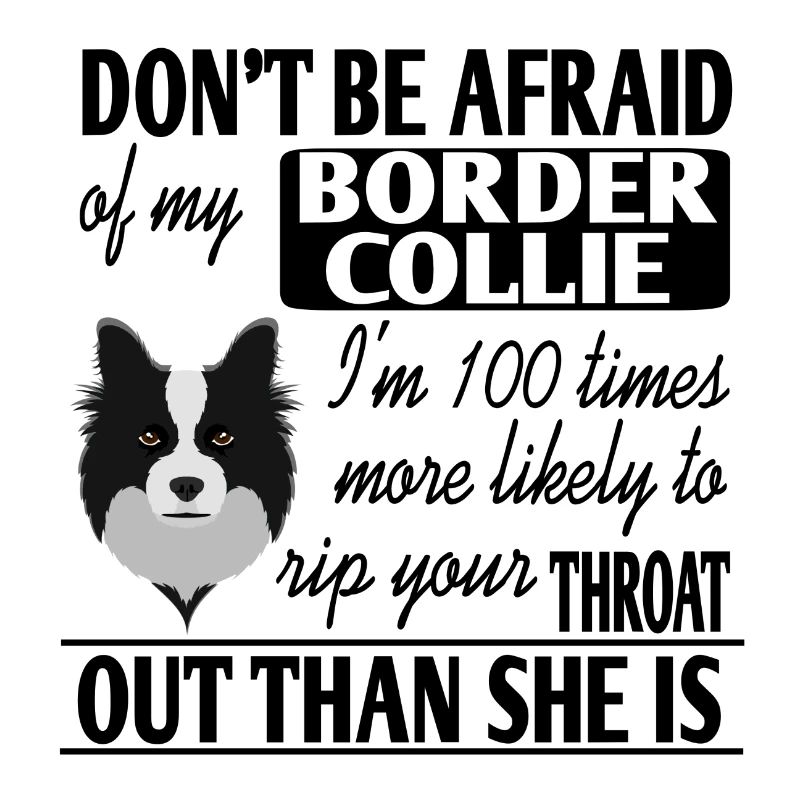 Border Collie