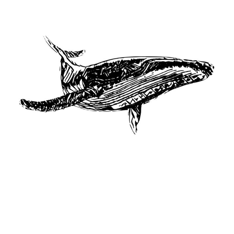 baleine