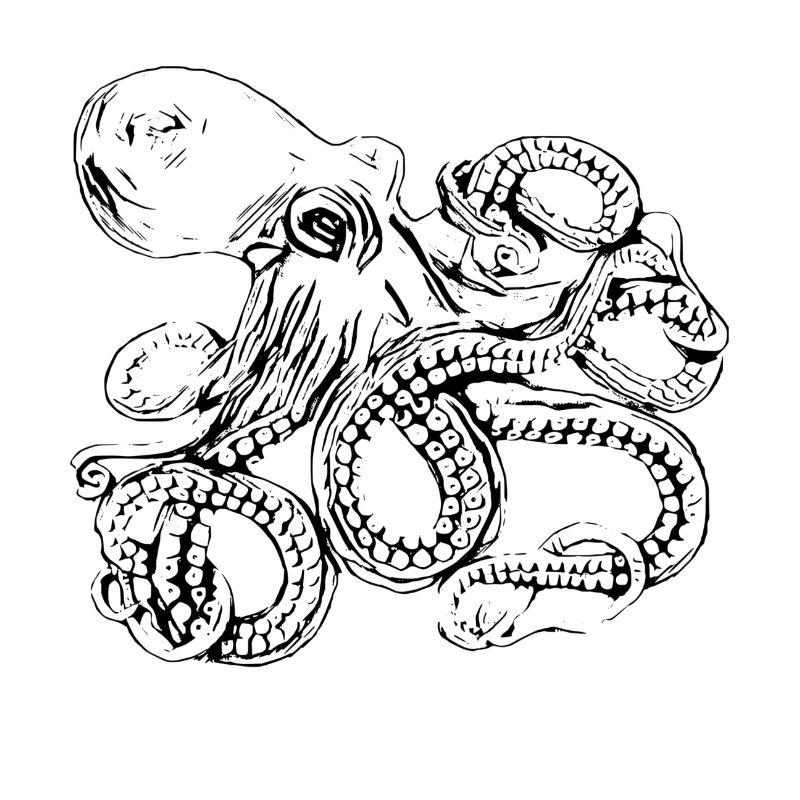 Kraken