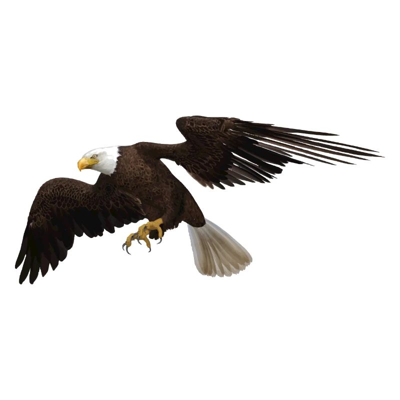 Aigle