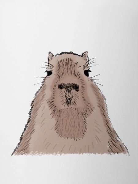 Capybara - capybara