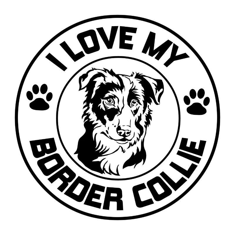 Border collie
