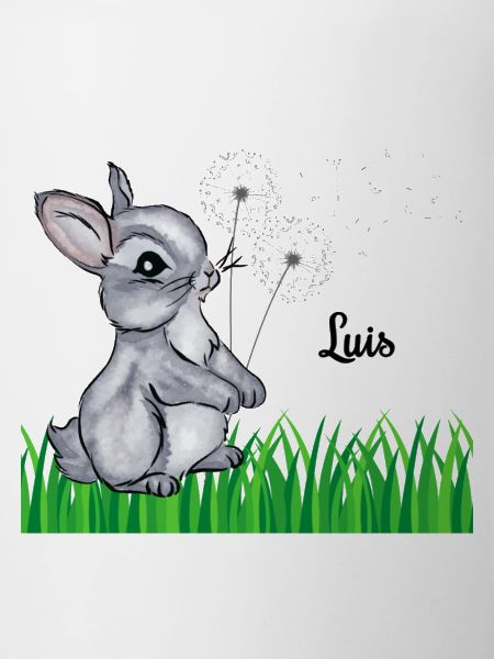 Rabbit Name Gift Luis