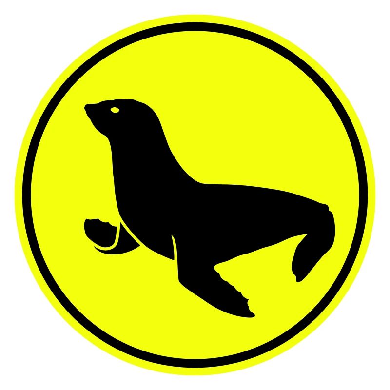 animal phoque