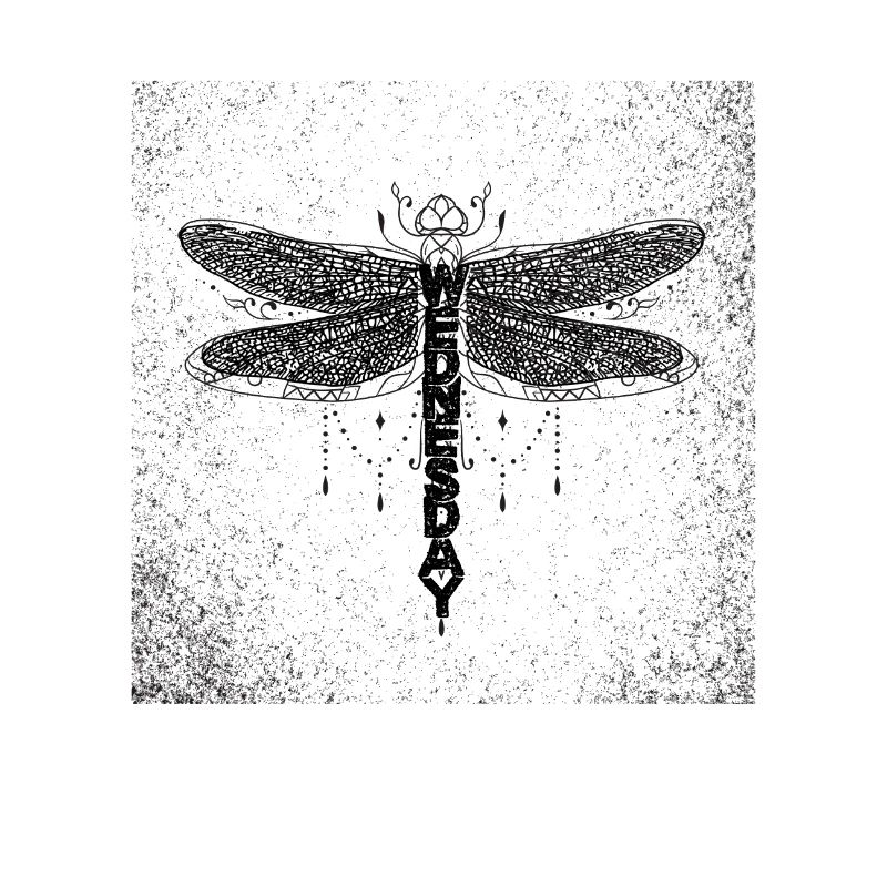 wednesday dragonfly