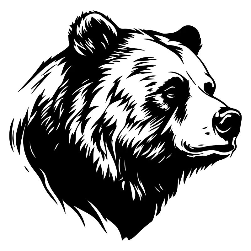 Ours Grizzly Animal