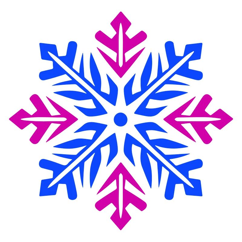 Snowflake Snow Icon