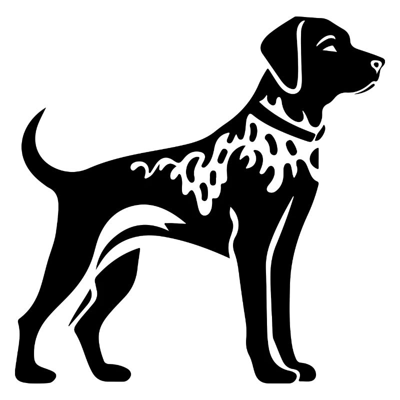 Chien dalmatien